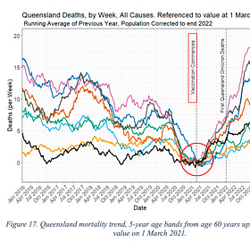 All-cause mortality started trending upwards with vax rollout, not Covid, report finds