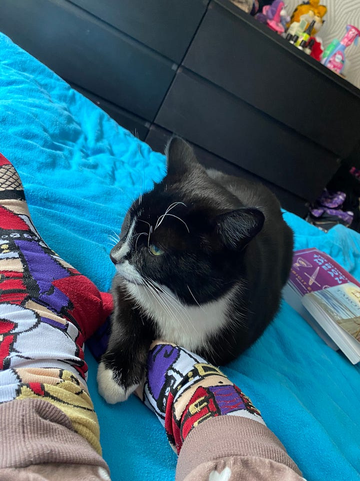 Wade laying on my feet and Izzy on my turquoise bed