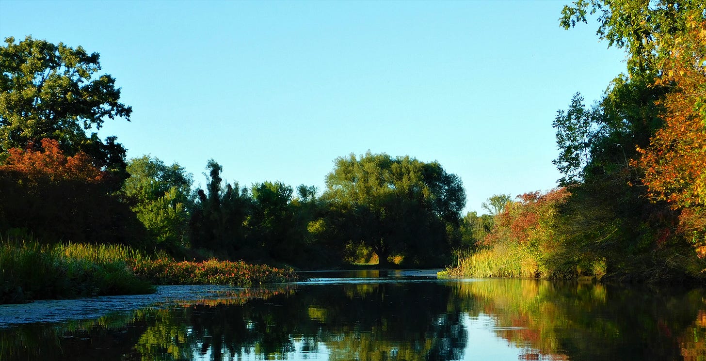Smooth glass-like water of a creek in the foreground, with reflections of trees, some still green, some with yellow and orange leaves on both sides. Clear blue sky overhead
