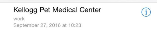 call-from-veterinarian call-from-veterinarian