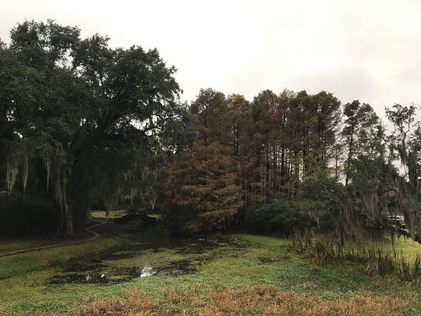  The nature surrounding Avery Island, LA, home to the Tabasco Hot Sauce Factory 