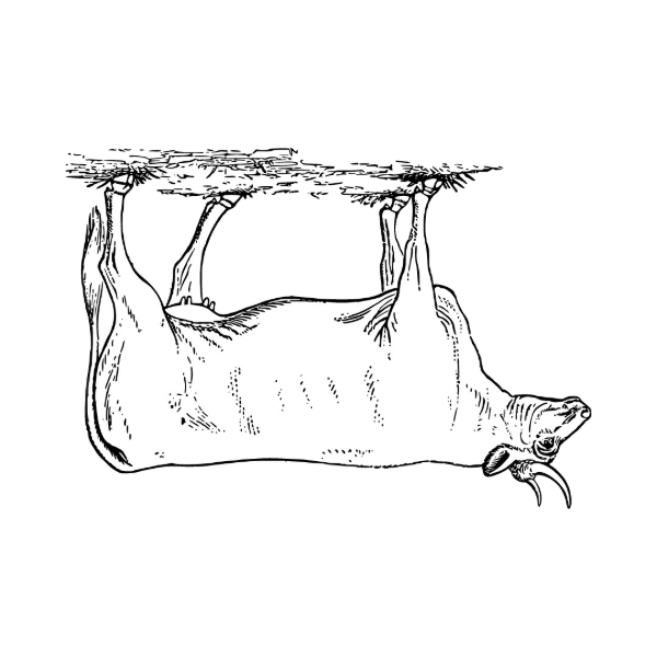 Substack profile picture for @reality