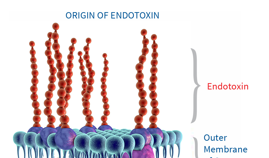 The Ultimate Guide to Lowering Endotoxin (LPS)