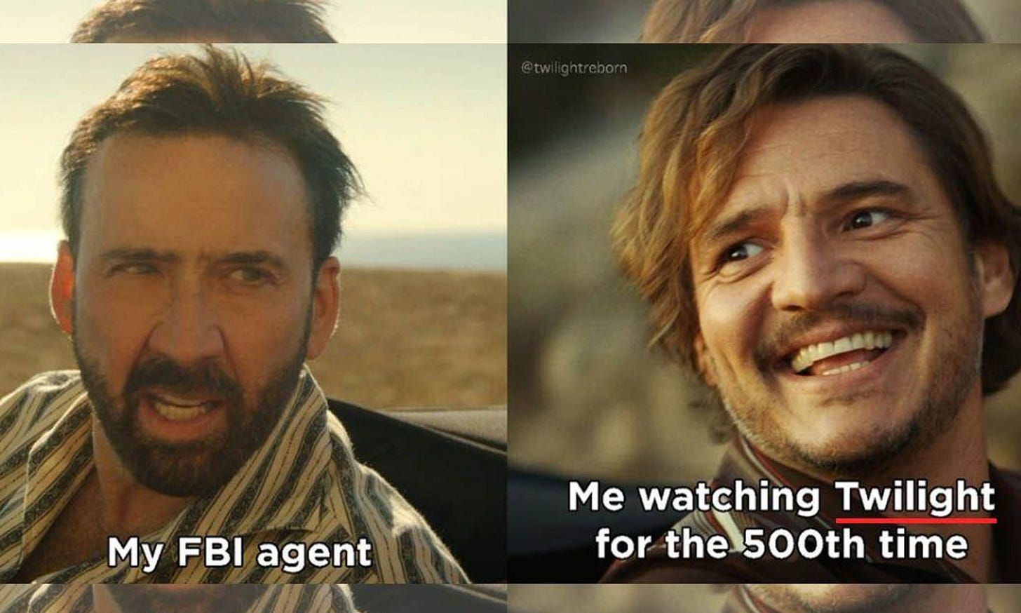 19 Unhinged 'Twilight' Memes For People Who Both Love And Hate The Series