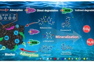 Structure-performance relationship of biochar for direct degradation of organic pollutants