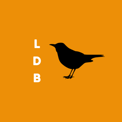 Little Dutch Blackbird