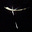 Elli Idunn's avatar