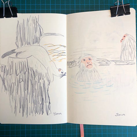photos des 6 doubles-pages où j'ai dessiné au crayon Pitt Graphite Matt de Faber-Castell et crayons de couleurs Luminance de Caran d'Ache