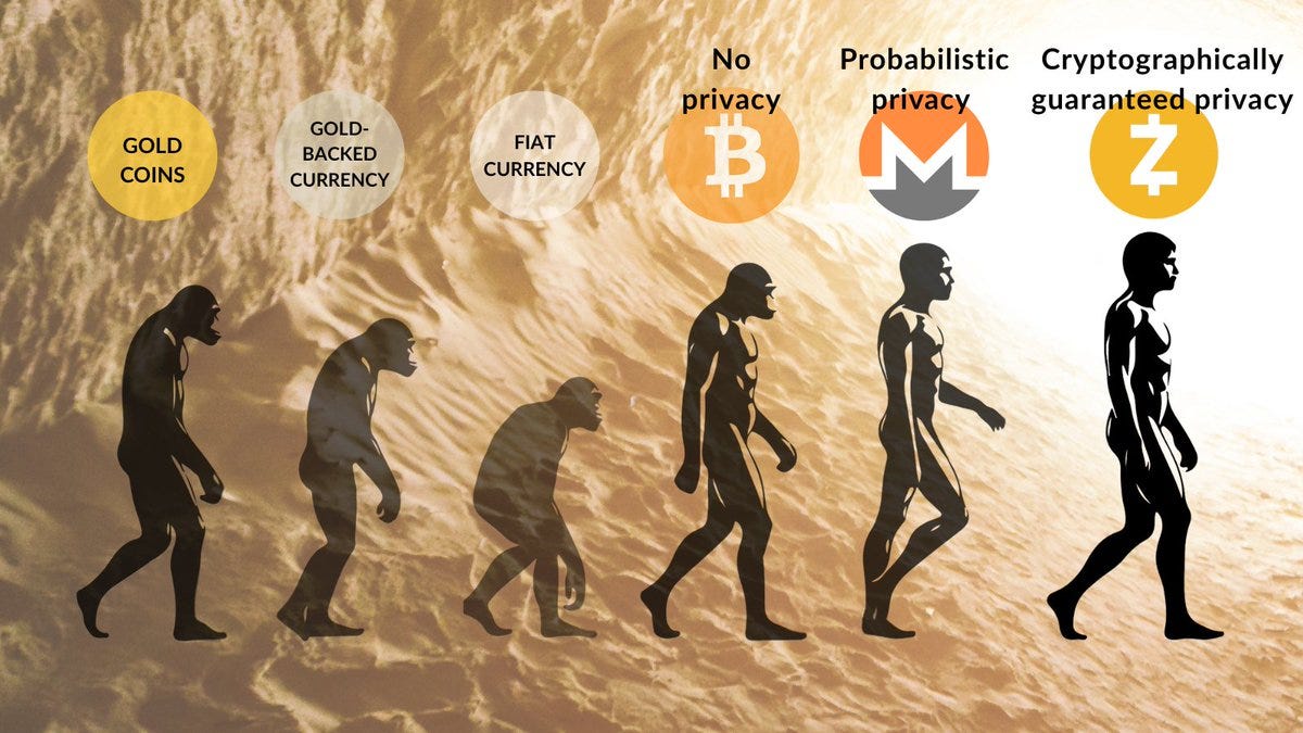 Silhouettes of human evolution from ape to modern human walking on a sandy terrain. Above each figure, circular icons represent different currencies: gold coins, gold-backed currency, fiat currency, Bitcoin, Monero, and Zcash. Text above the icons reads "GOLD COINS," "GOLD BACKED CURRENCY," "FIAT CURRENCY No privacy," "Bitcoin Probabilistically privacy," "Monero Cryptographically privacy," and "Zcash Cryptographically guaranteed privacy."