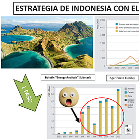86) ¿Qué deberíamos aprender de Indonesia? Estrategia efectiva para ascender en la cadena de valor.
