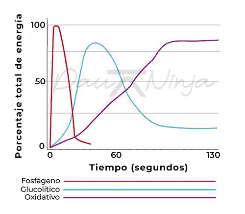 energías de la estamina