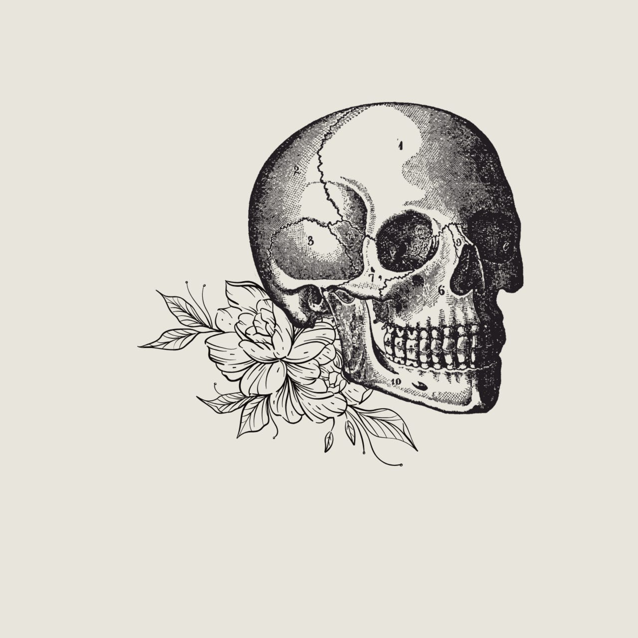 Lessons in Breathing logo