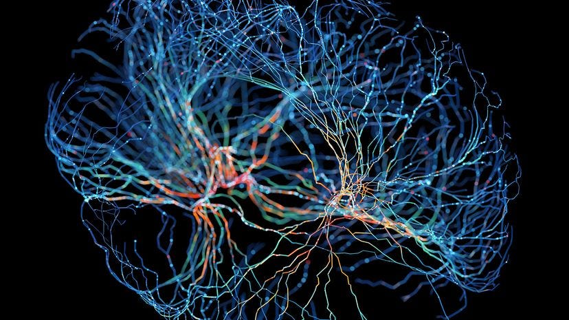 How Brain Mapping Works | HowStuffWorks