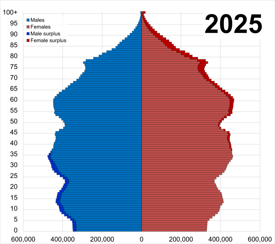 File:2025 United Kingdom population pyramid.png
