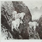 Was soll ich denken, wenn ihr mir sagt, ich soll aufhören zu denken?