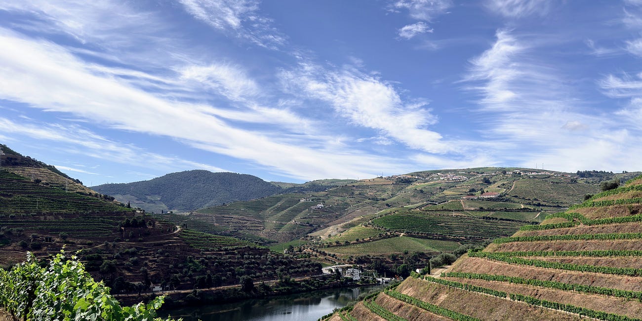 A Vineyard Stay in the Douro Valley: Quinta de la Rosa