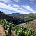 A Vineyard Stay in the Douro Valley: Quinta de la Rosa