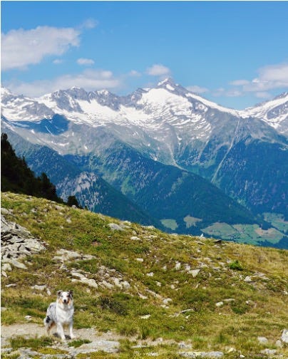 alps - hotel drumlerhof