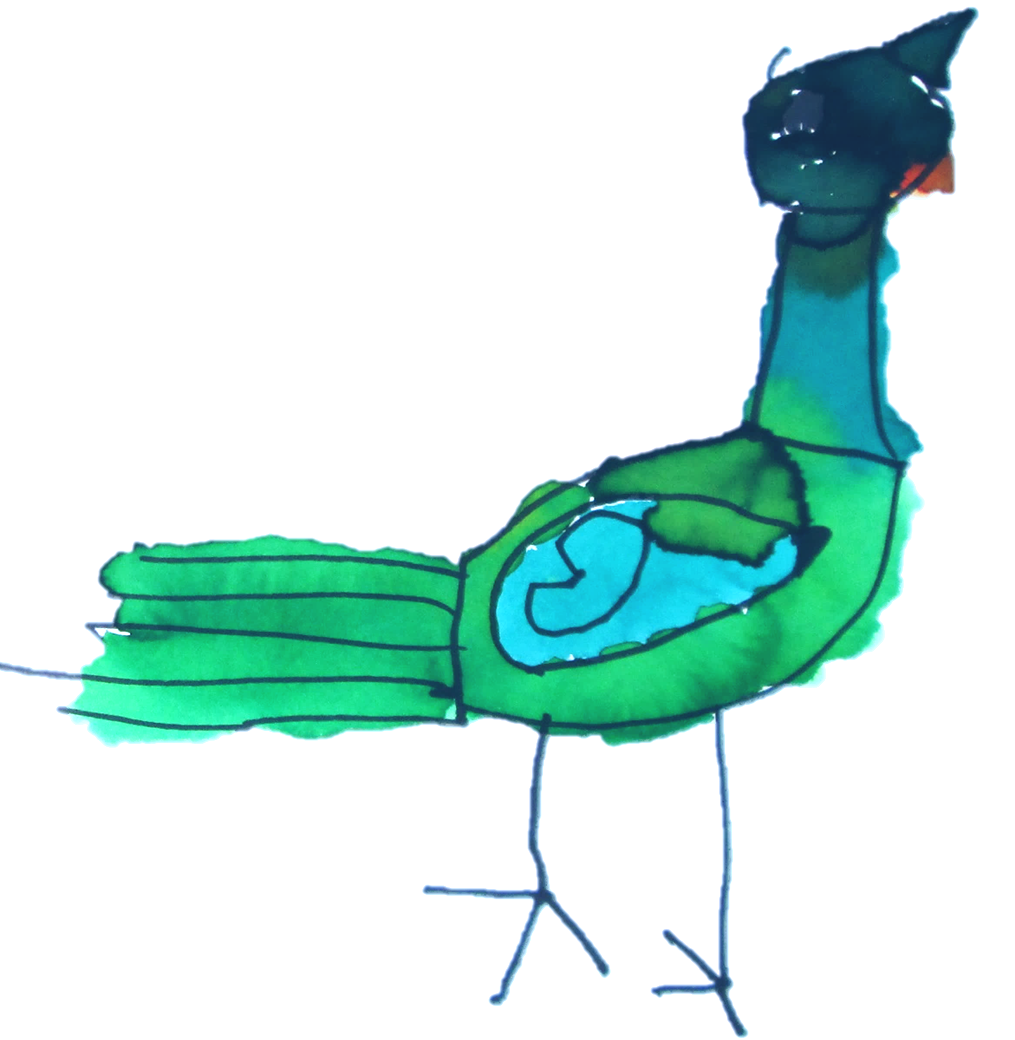 image of a child's drawing of a bird.  The bird is painted in blue and green watercolors