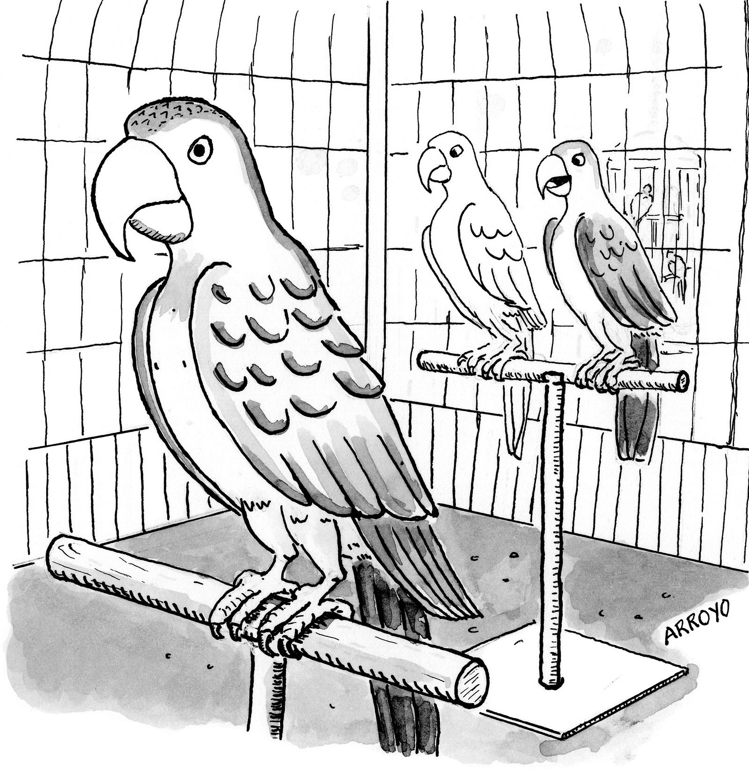 Two parrots talking about and looking at another parrot.