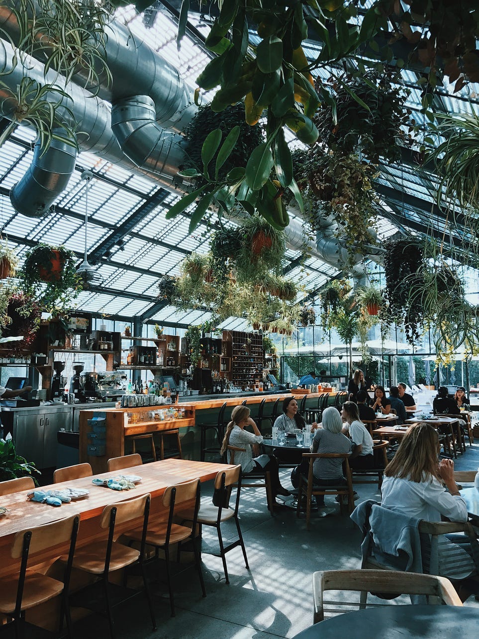 picture of a food court with high ceilings and a lot of plants