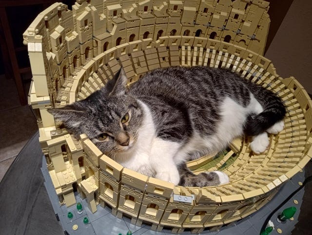 r/lego - Finished the Colosseum and somebody moved in!!