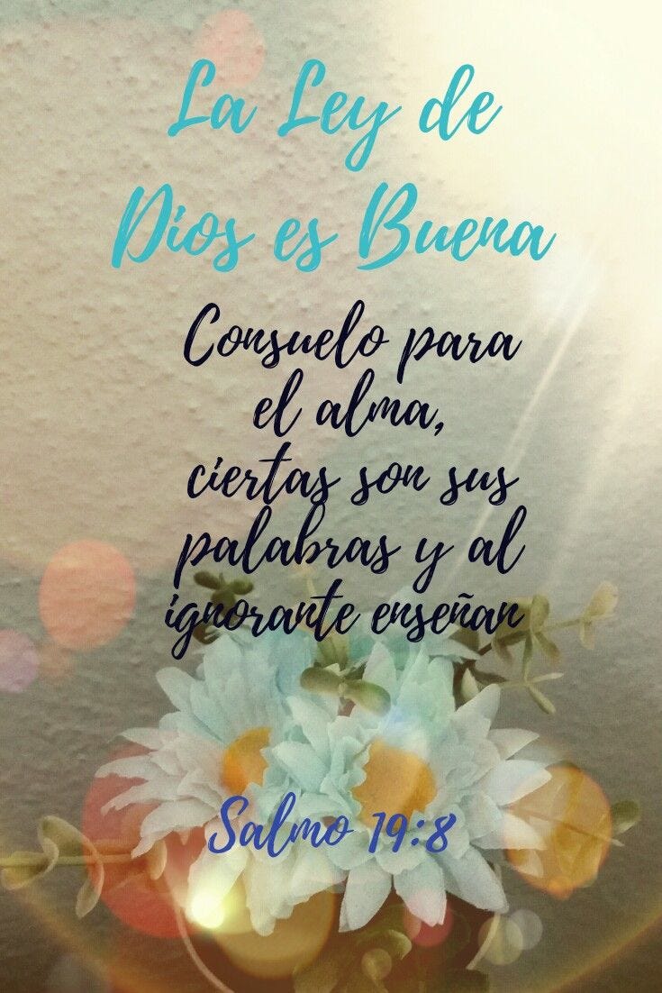 Salmos 19:8 Salmos 19:8