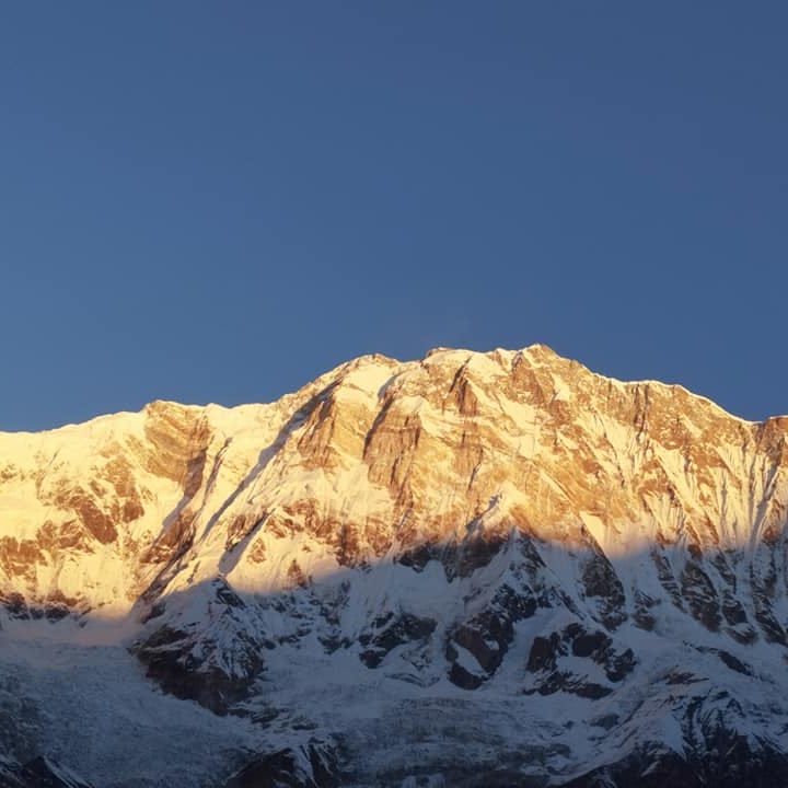 Artwork for Gutfeels