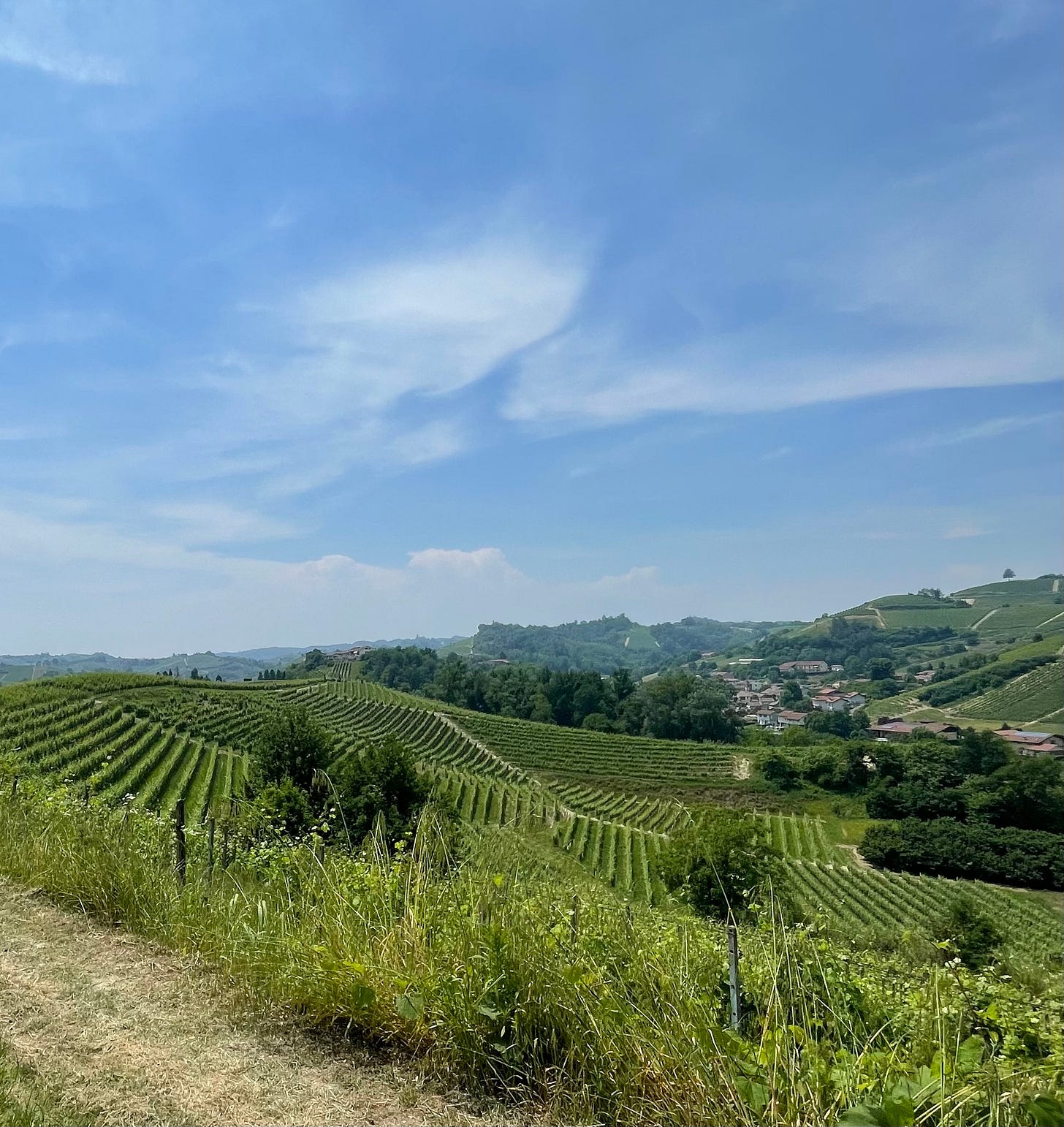 Rivetto cru, Roero