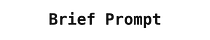Brief Prompt