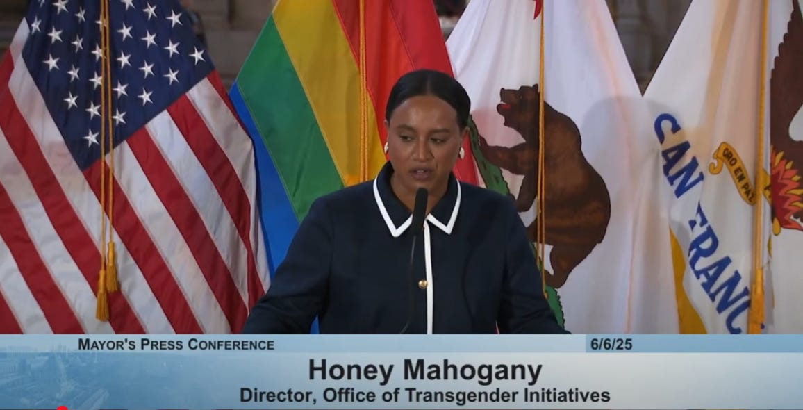 San Francisco Excludes Transgender Flag From Pride Flag Raising Ceremony