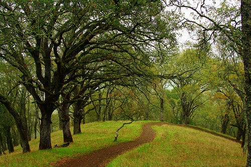 path