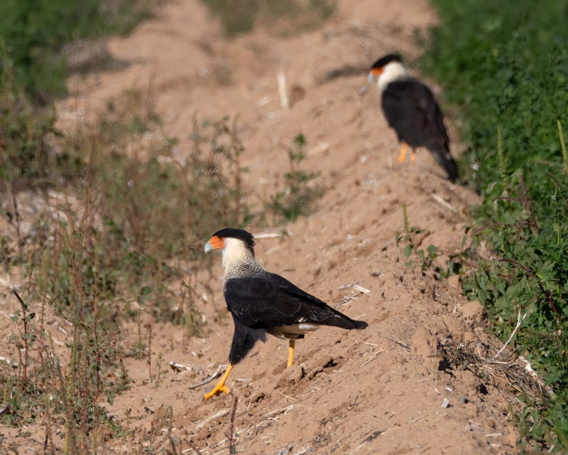 20251204-Manville-187-Edit.jpg 20251204-Manville-187-Edit.jpg