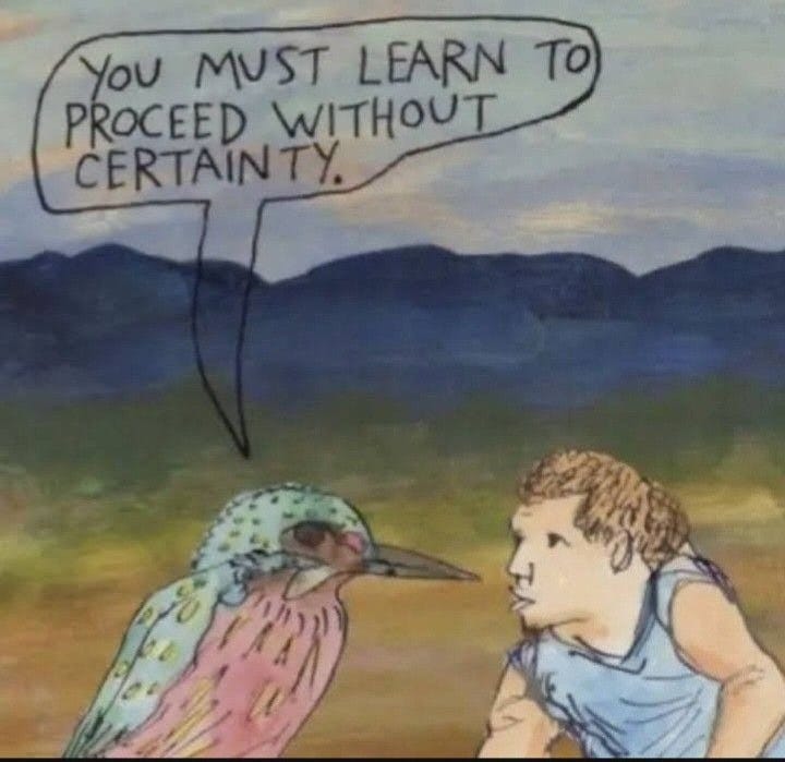 This may contain: a drawing of a bird and a man with a speech bubble saying you must learn to proceed without certainity
