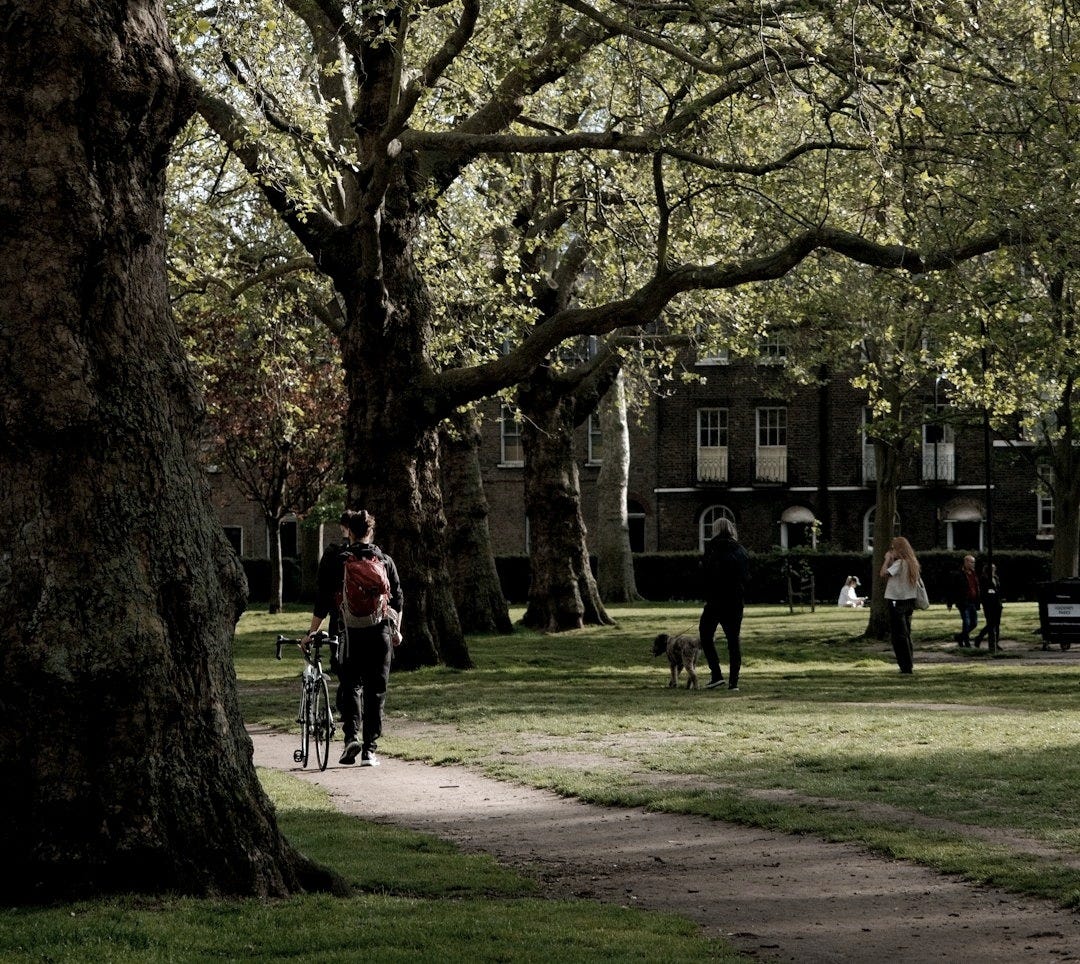 a person riding a bike on a path in a park a person riding a bike on a path in a park