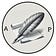 The American Pamphleteer