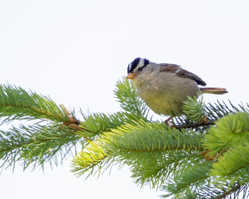 20250610-SJI-402-Edit.jpg 20250610-SJI-402-Edit.jpg