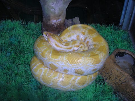 Sihanoukville 2007