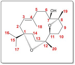 Cembranoids from Boswellia species - ScienceDirect Cembranoids from Boswellia species - ScienceDirect