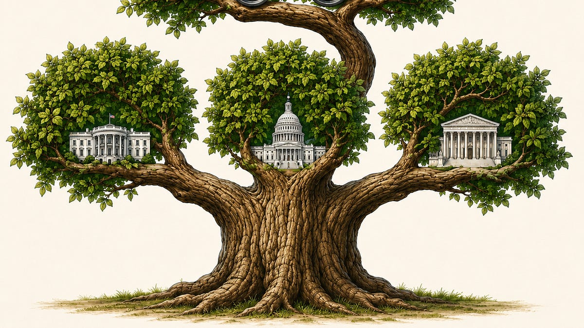 Why We Need a Fourth Branch of Government