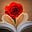 🔥💖📚𝔻𝕒𝕣𝕝𝕖𝕟𝕖 ✍️🏻💖🔥's avatar