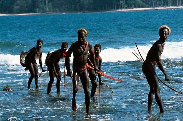 North Sentinel Island: Facts And Mysteries Surrounding The Sentinelese ...