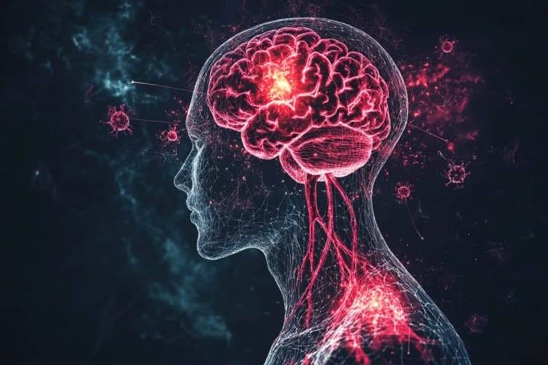 This shows a head and a brain.