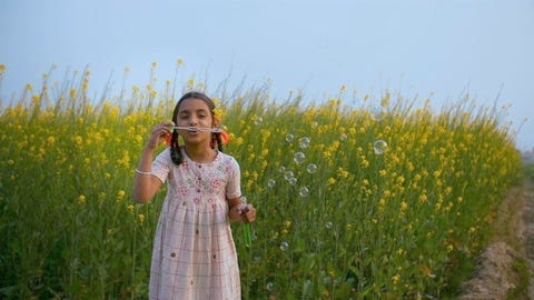 Cheerful Village Girl Making Bubbles In Her Farm Stock Video | Knot9