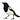 The Magpie Chronicles 