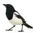 The Magpie Chronicles 