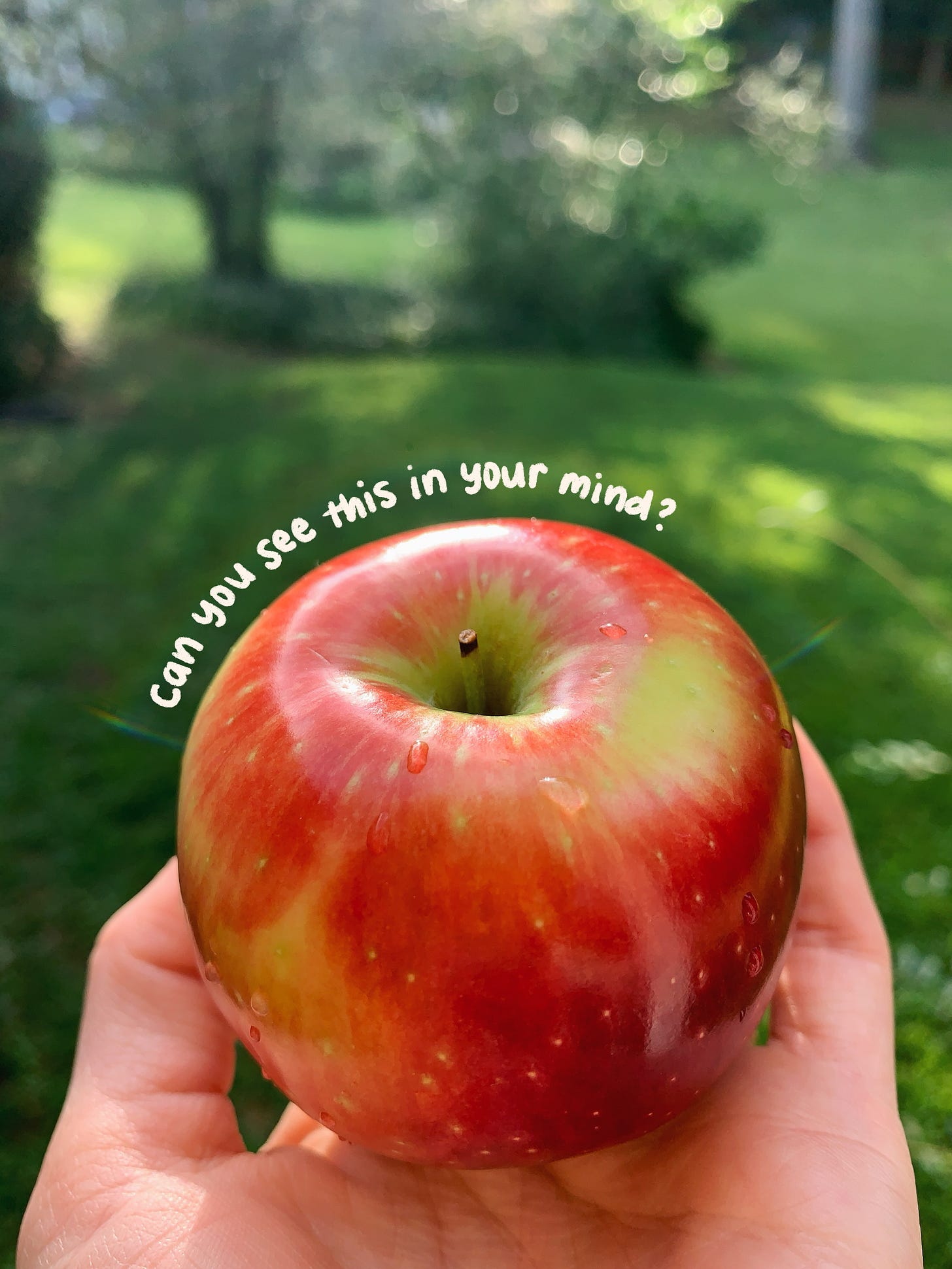 Author's hand holding a red apple with several water drops on top. Handwritten text says: Can you see this in your mind?