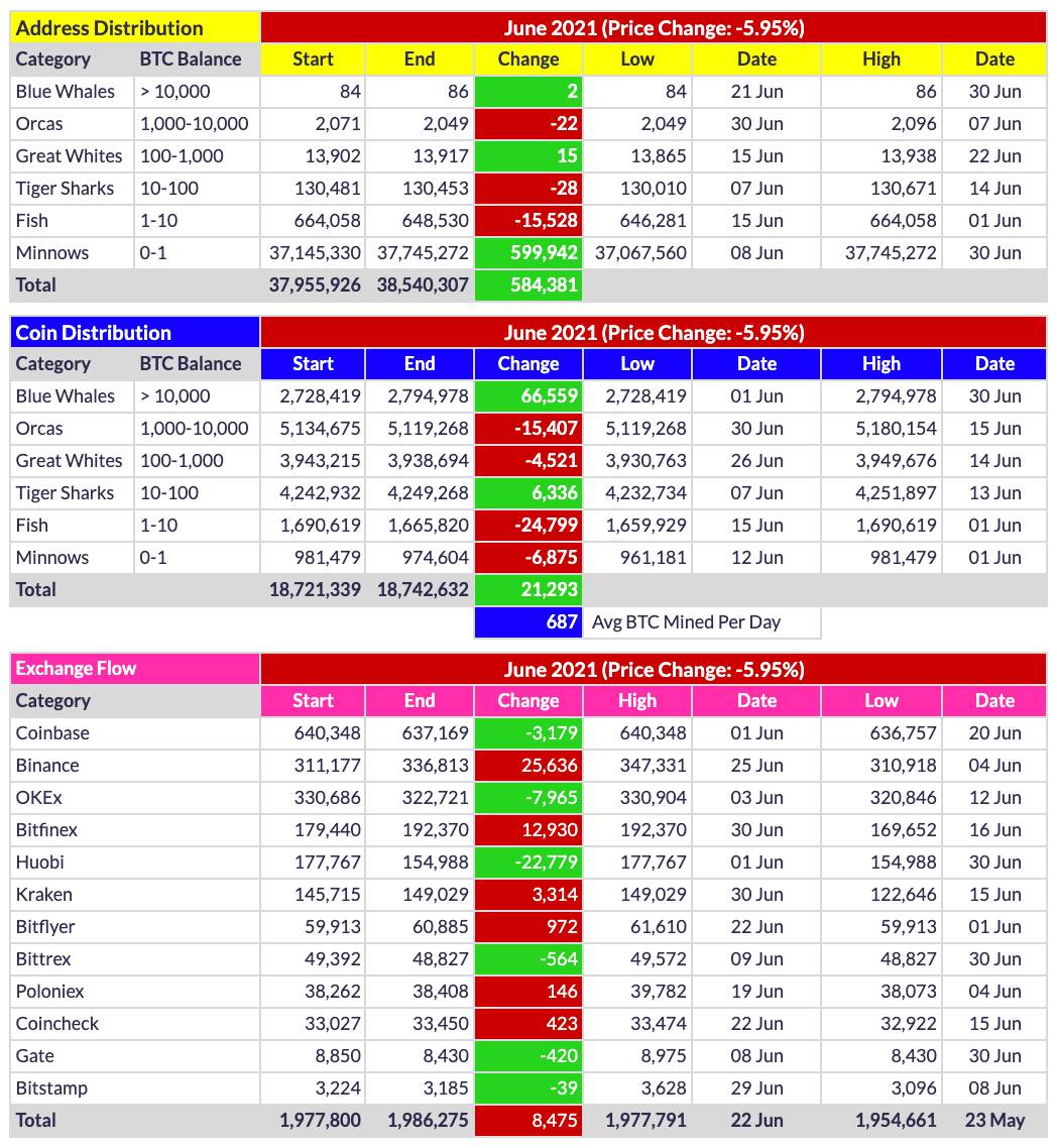 Address & Coin Distribution Analysis - by David