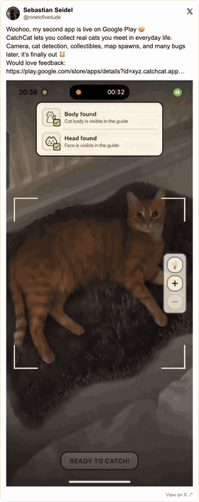 Original X post with the CatchCat demo, by Sebastian Seidel. Original X post with the CatchCat demo, by Sebastian Seidel.