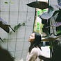 Mina Mai's avatar